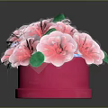 Decorative Potted Plants With Pink Flowers Purple Blue Small Blooms Green Leaves In Pink Pots