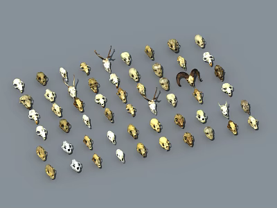 Modern Bone Animal Skull Sheep Bone Dog Bone Cow Bone Cow Skull Version Bones Cartoon Bones 3d model