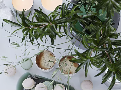 Elegant Tea Set Display With Fresh Green Plant Candles And Macarons On White Table 3d model