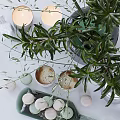 Elegant Tea Set Display With Fresh Green Plant Candles And Macarons On White Table