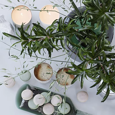 Elegant Tea Set Display With Fresh Green Plant Candles And Macarons On White Table 3d model