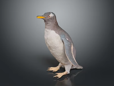 Gray and White Penguin with Yellow Beak Standing on Dark Background 3d model