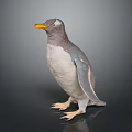 Gray and White Penguin with Yellow Beak Standing on Dark Background
