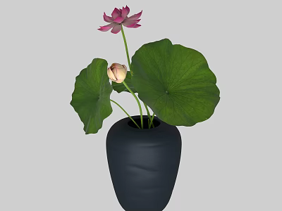 Decorative Ceramic Vase With Fresh Pink Lotus Flower and Bud Green Leaves Arrangement 3d model
