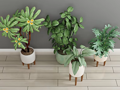 Modern potted green plant 3d model