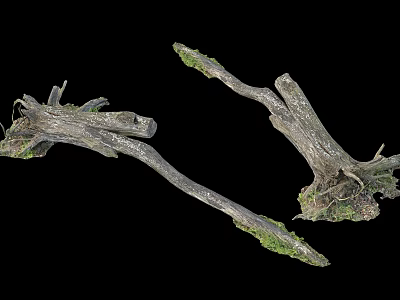 Natural Stone And Wood Decorative Pieces With Tree Roots And Green Moss 3d model