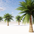 Tall Palm Trees Standing On Open Sandy Ground Under Blue Sky With White Clouds 3d model