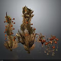 Unique Decorative Plants With Brown Stems And Red Fruits For Artistic