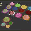 Vibrant Assorted Food Coloring Powders in Various Bright Colors for Baking Decorations