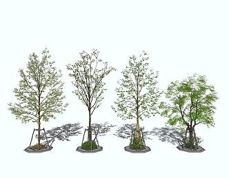 Modern Tree Pool Outdoor Landscape Trees Greening Plants 3d model