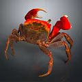 Vibrant Red Clawed Crab With Brown Body And Detailed Exoskeleton Close Up