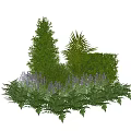 Decorative Garden Plant Arrangement With Lavender Ferns Palm And Green Shrubs