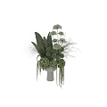 Elegant Decorative Ornament Arrangement With Lush Green Foliage White Flowers And Spherical Plants