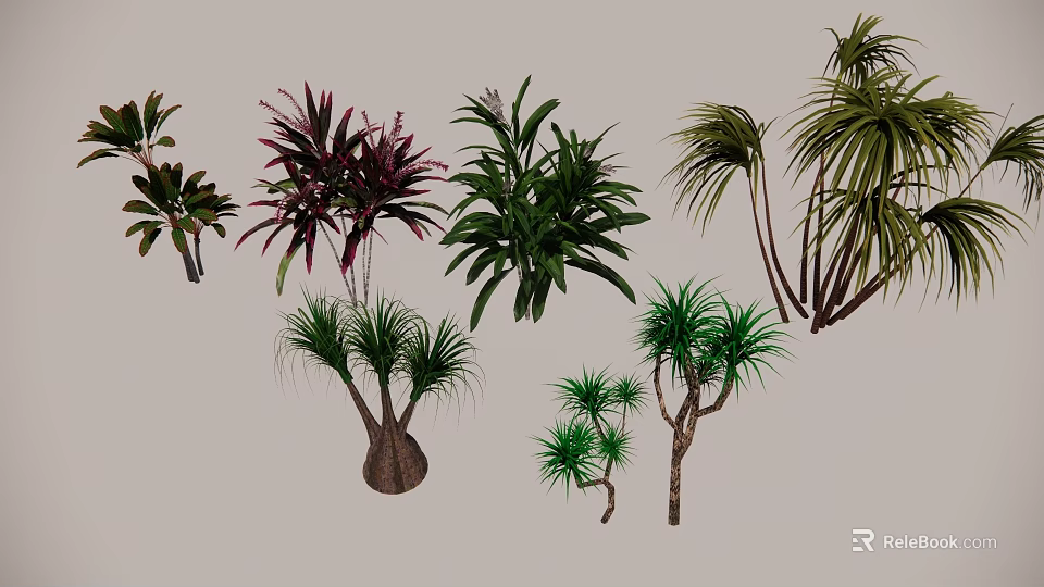 Various Types Of Arbor Trees With Different Leaf Shapes And Trunk Features 3d model 