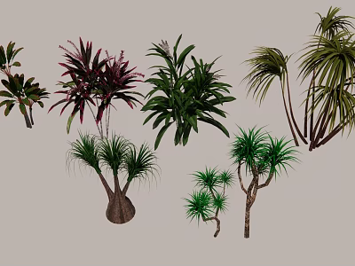 Various Types Of Arbor Trees With Different Leaf Shapes And Trunk Features 3d model