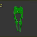 3D Rendered Human Hip Joint Leg Bones And Muscles Anatomical Structure