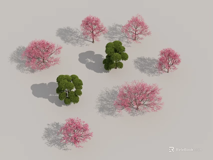 Trees with Pink Flowers and Green Foliage Displayed on Gray Background with Cast Shadows 3d model 