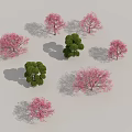 Trees with Pink Flowers and Green Foliage Displayed on Gray Background with Cast Shadows