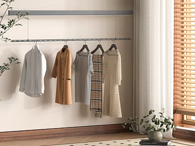 Garments Hanging On Wall Mounted Rack With Potted Plant And Window In Interior 3d model