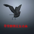 3D Flying Bird With Rigging And Animation Features 2.4 Version Design