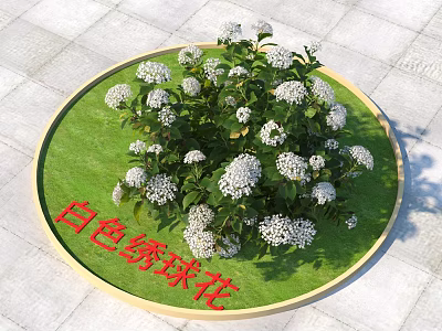 White Hydrangea Flowers Blooming Fresh On Circular Green Lawn Arrangement 3d model