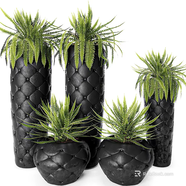 Decorative Bonsai Potted Plants In Black Diamond Patterned Pots Various Sizes 3d model 