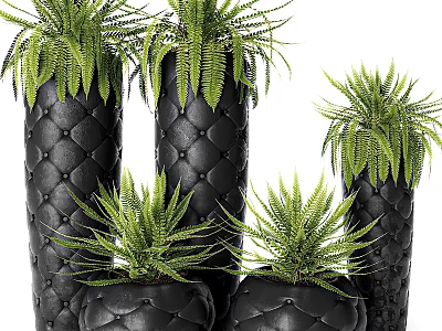 Decorative Bonsai Potted Plants In Black Diamond Patterned Pots Various Sizes 3d model