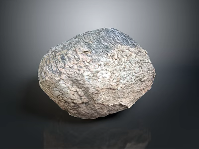 Natural Wooden Stone With Unique Textured Surface And Organic Pattern As Decorative Material 3d model