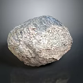 Natural Wooden Stone With Unique Textured Surface And Organic Pattern As Decorative Material