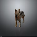Gray and Orange Fox 3D Rendering Standing with Realistic Fur Texture on Dark Background 3d model
