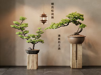 Oriental Style Bonsai Trees With Lush Green Foliage On Wooden Stands 3d model