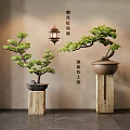 Oriental Style Bonsai Trees With Lush Green Foliage On Wooden Stands