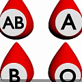 Human Organ Blood Type Display With AB A B O Red Droplet Shapes