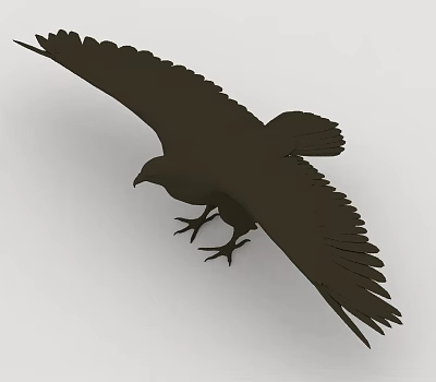 Eagle 3d model Eagle 3d model