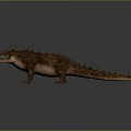 Realistic 3D Crocodile Model With Rough Skin And Spiked Back Open Mouth 3d model