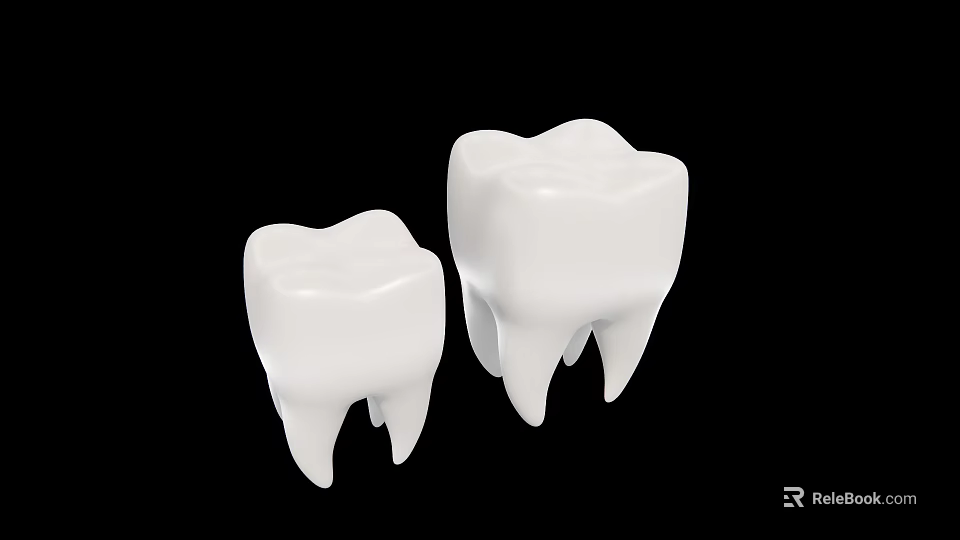 Two Detailed White Dental Tooth Models Isolated On Black Background 3d model 