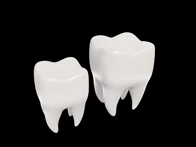 Two Detailed White Dental Tooth Models Isolated On Black Background 3d model