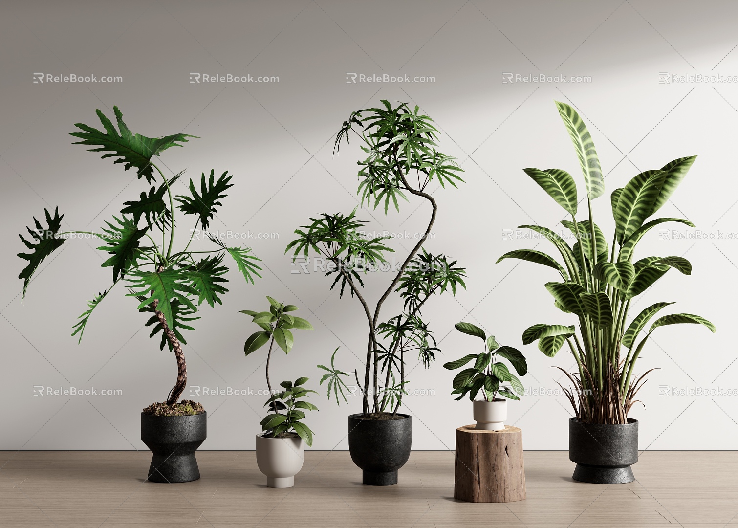 potted plants potted plants 3d model