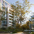 Modern High Rise Residential Building Landscape With Glass Curtain Walls And Autumn Trees Under Sunlight
