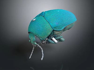 Vibrant Teal Flying Beetle Showcasing Metallic Sheen Rounded Body And Antennae 3d model