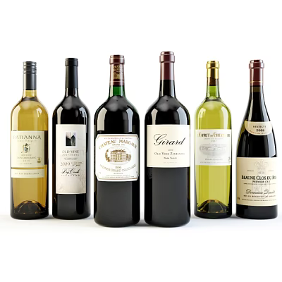 Assorted Wine Bottles with Different Labels and Red White Wine Varieties 3d model