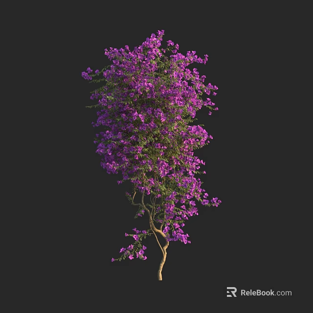 Vibrant Blooming Purple Flowers With Lush Green Leaves On Black Background 3d model 