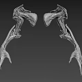Symmetrical Biological Skeletal Structures Featuring Complex Limb Like Appendages And Detailed Textures