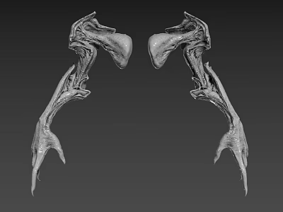 Symmetrical Biological Skeletal Structures Featuring Complex Limb Like Appendages And Detailed Textures 3d model