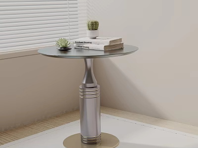 Round Top Side Table With Metal Base Holding Books And Small Cactus Plants By Window 3d model