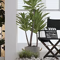 Cozy Hotel Public Lounge Area With Sunlight Lush Plants Wooden Table And Comfortable Seating