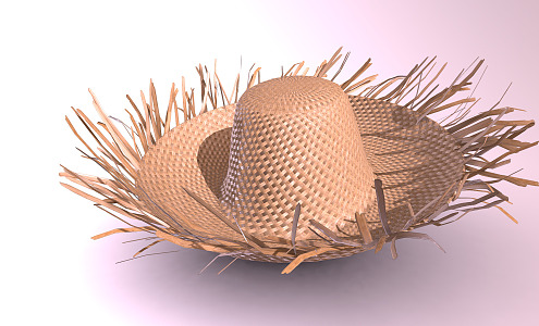 Modern Hat Island Hat 3d model