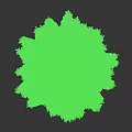 Tall Evergreen Arbor With Straight Trunk And Lush Green Foliage On White Background