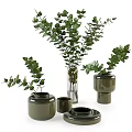 Green Vases With Lush Eucalyptus Leaves For Modern Home Decor Arrangement