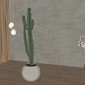 Green Cactus Potted Plant In White Round Pot On Wooden Floor With Light Gray Wall